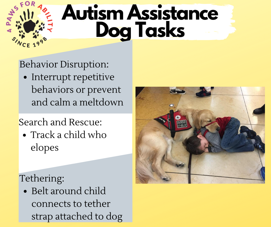 National Autism Awareness Month How A Service Dog Makes A Difference